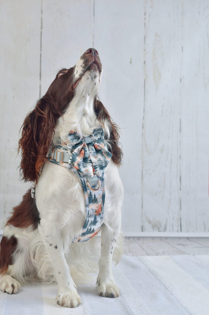 Pinewood Peaks - Adventure Addition