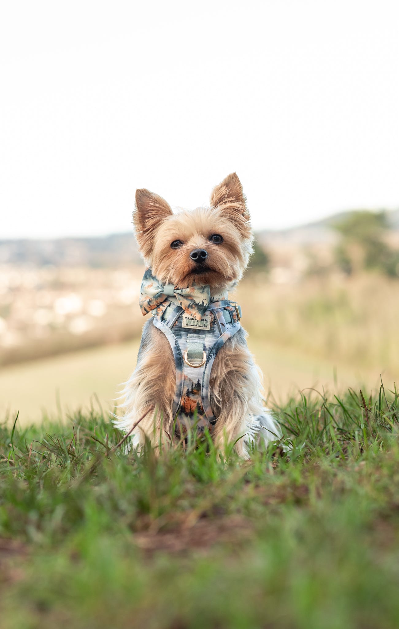 Pinewood Peaks - Adventure Addition