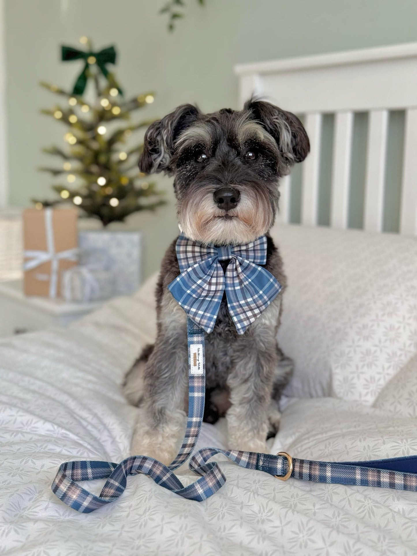 Frosted Flannel - Sailor Bow