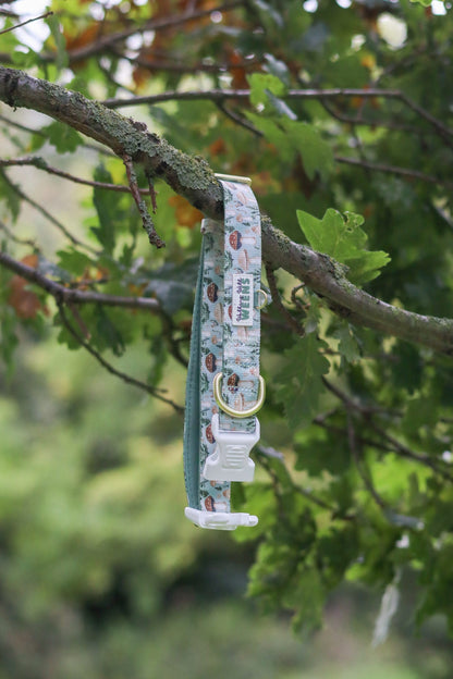 Fern Forest - Collar