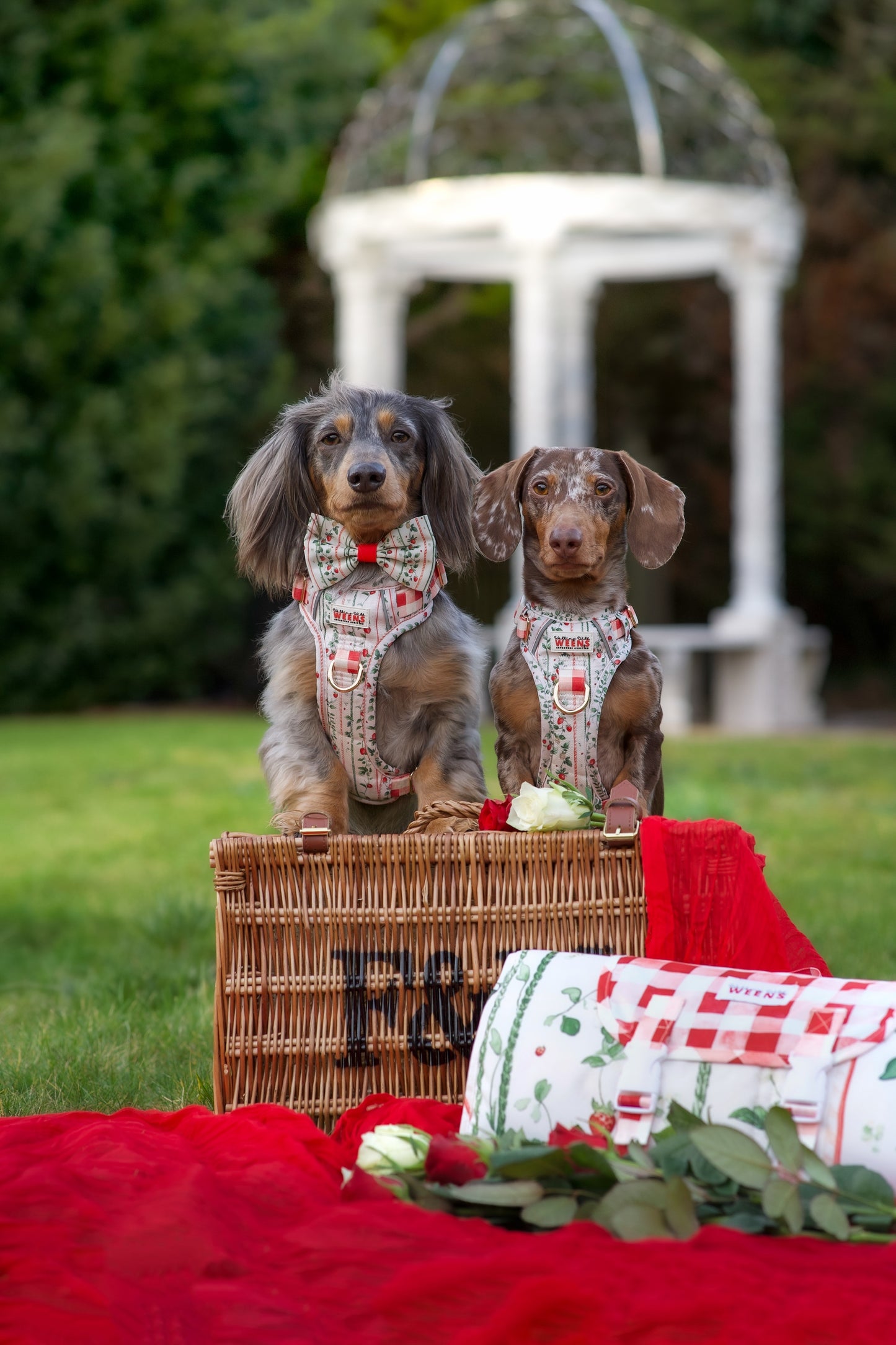 Berries and Bloom - Adventure Addition (See description)