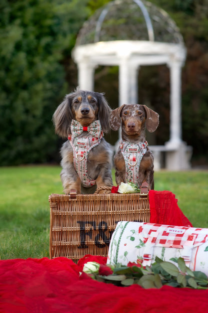 Berries and Bloom - Adventure Addition (See description)