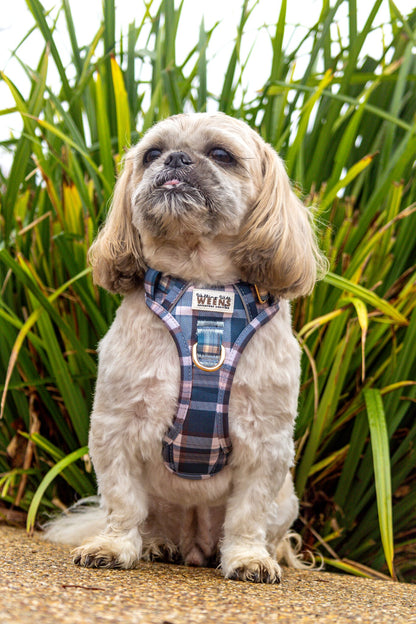 Frosted Flannel - Adventure Addition