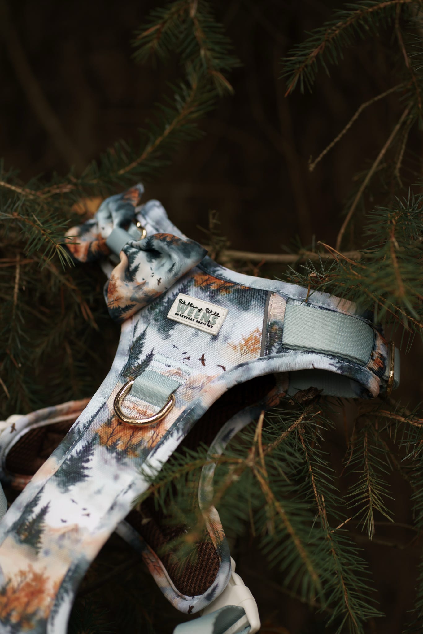 Pinewood Peaks - Adventure Addition