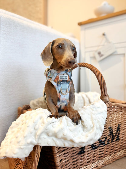 Pinewood Peaks - Adventure Addition