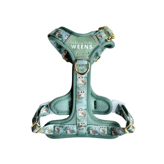 Evergreen Echoes - Active Addition