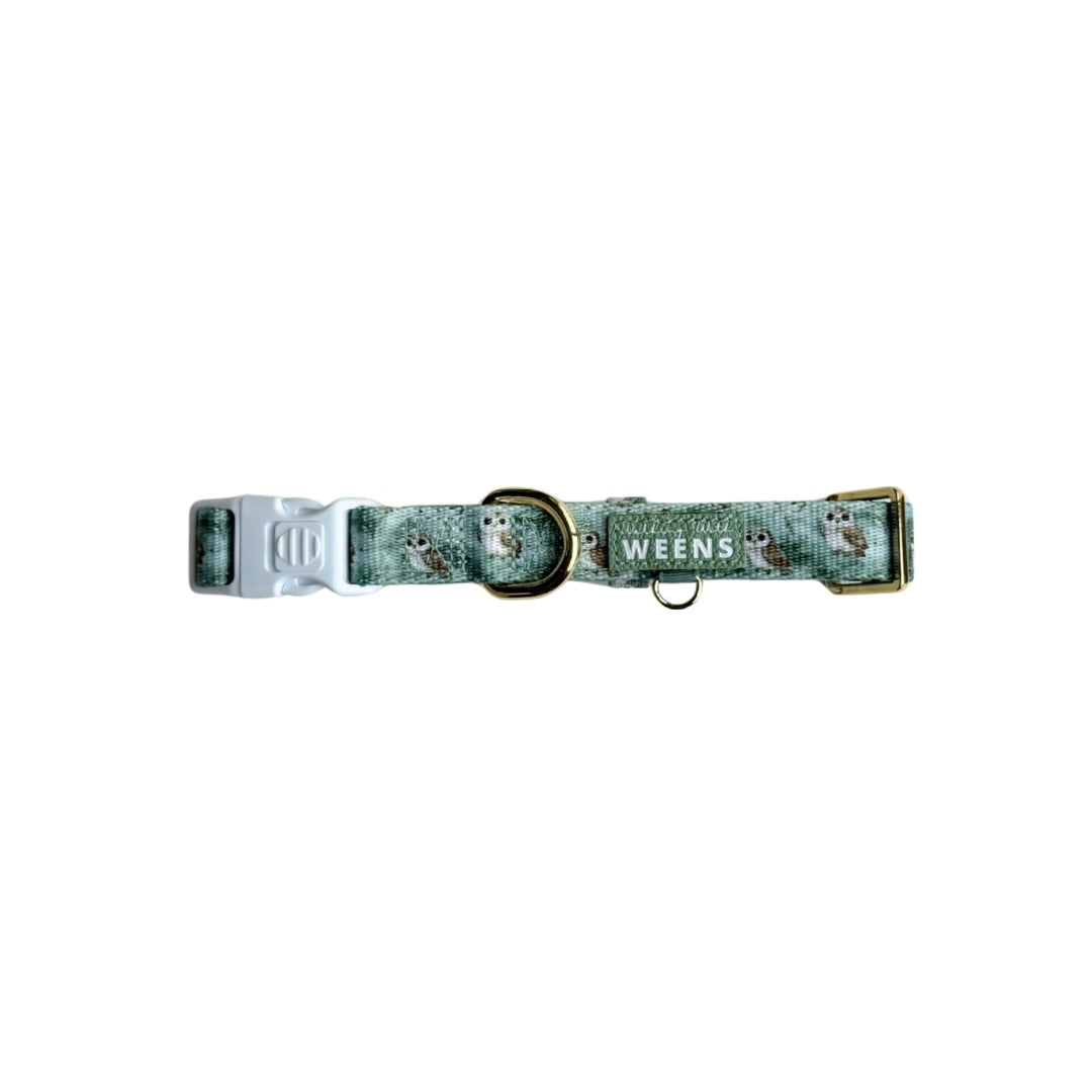 Evergreen Echoes - Collar