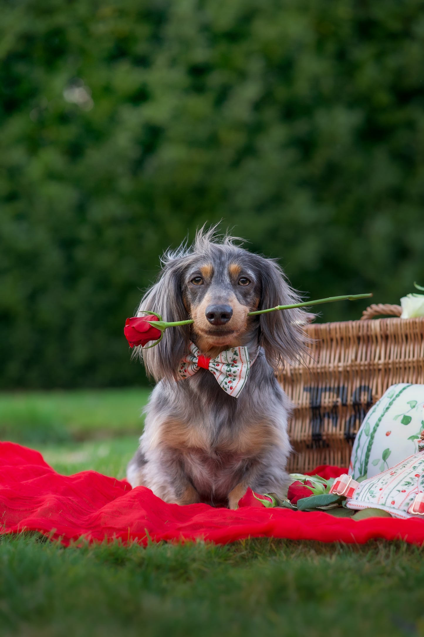Berries and Bloom - Bow Tie