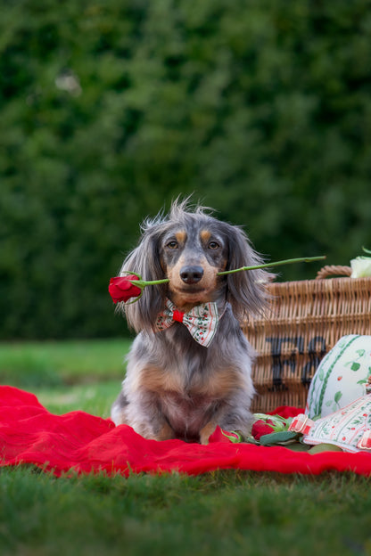 Berries and Bloom - Bow Tie