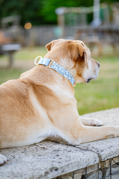 Cornflower Cottage - Martingale Collar