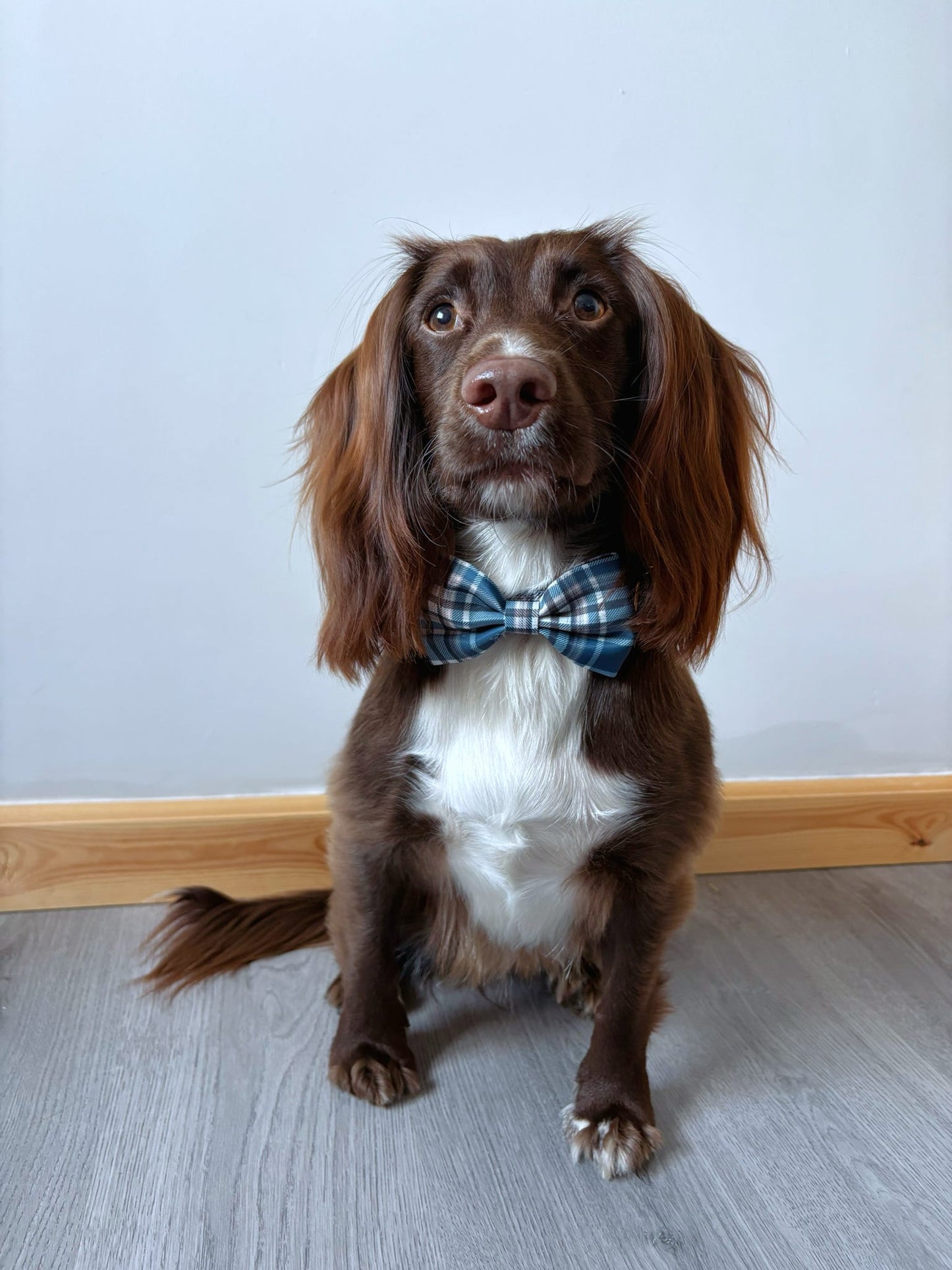 Frosted Flannel - Bow Tie