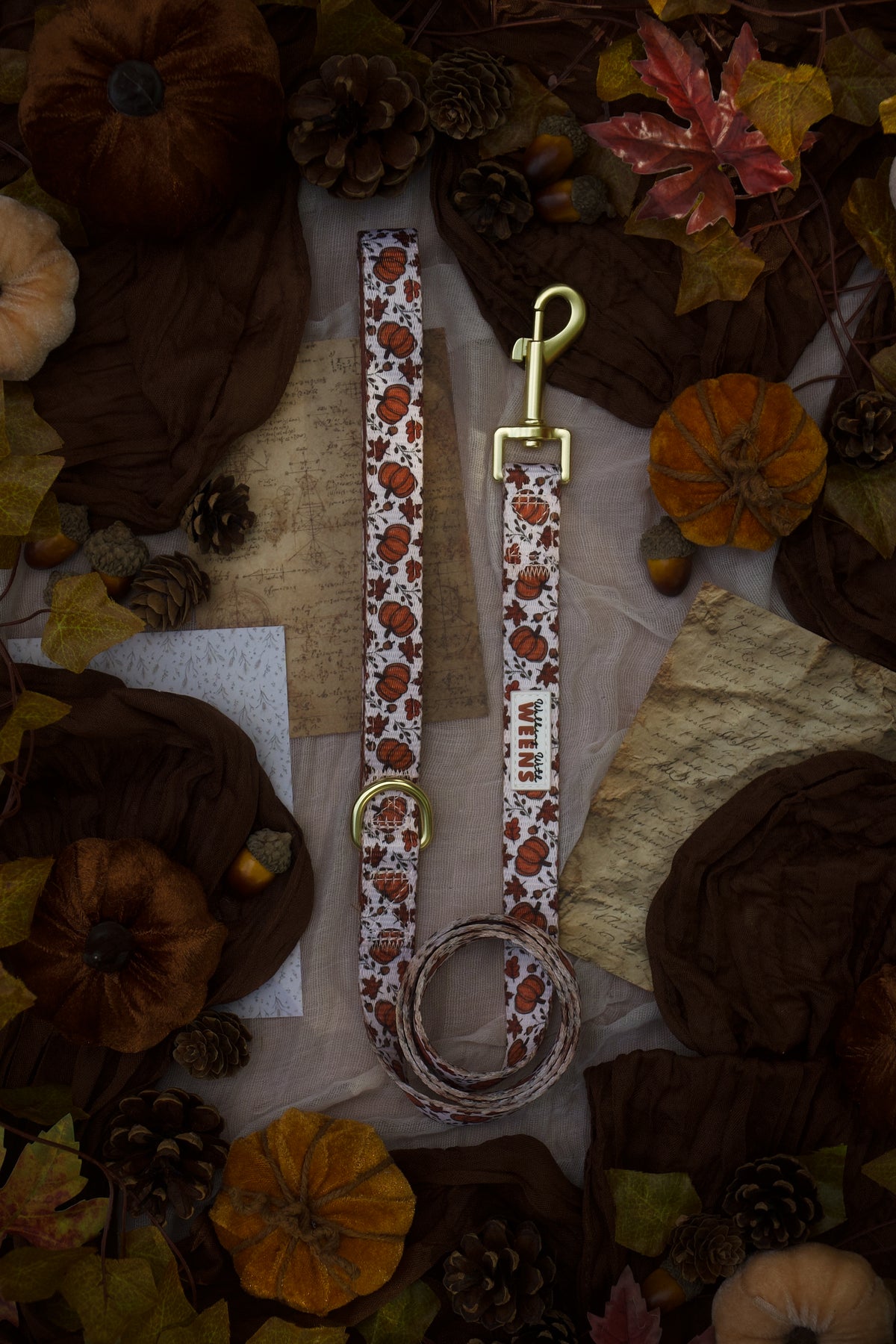 Autumn Nights - 4ft Lead