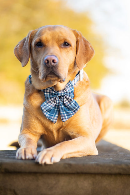 Frosted Flannel - Sailor Bow