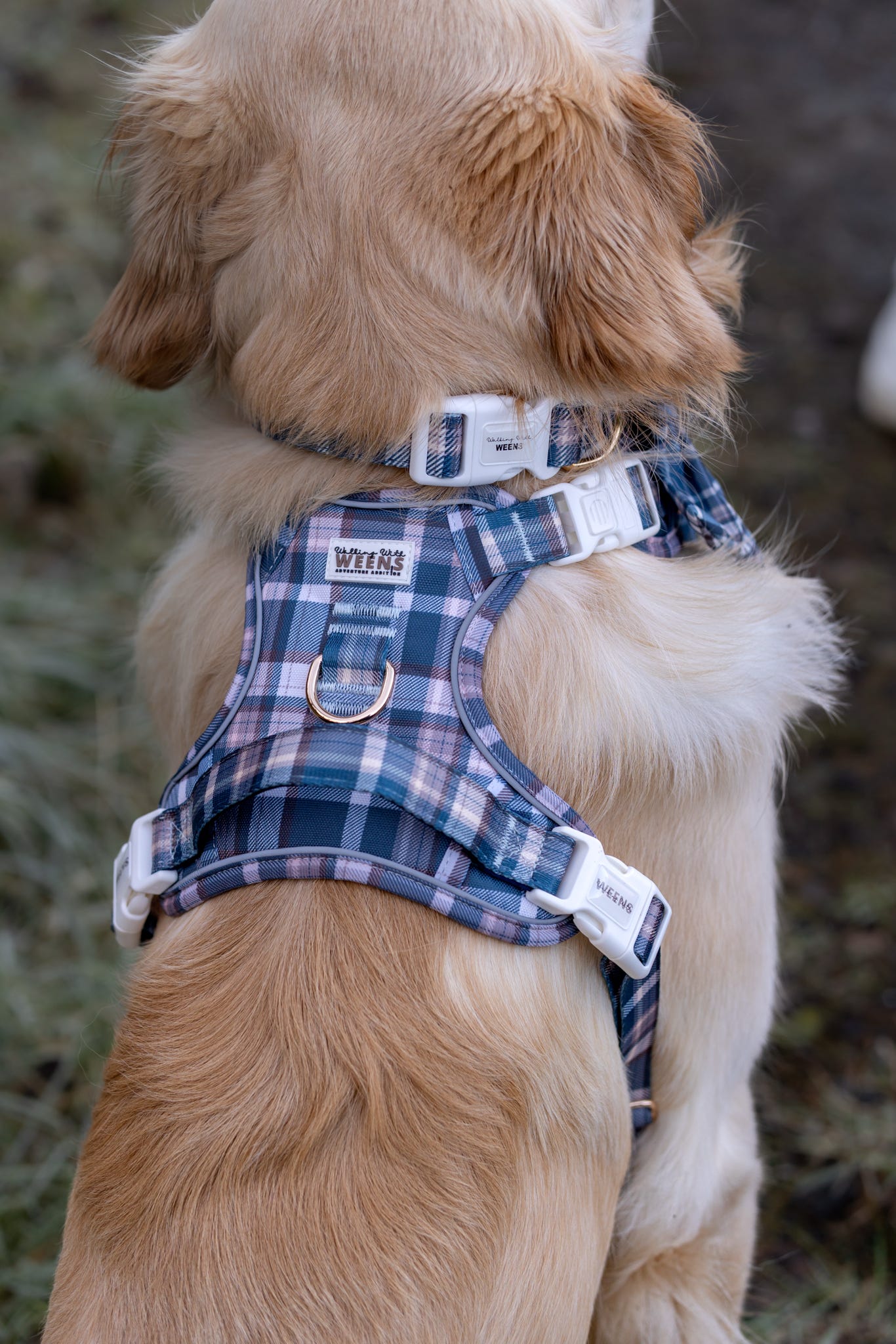 Frosted Flannel - Adventure Addition