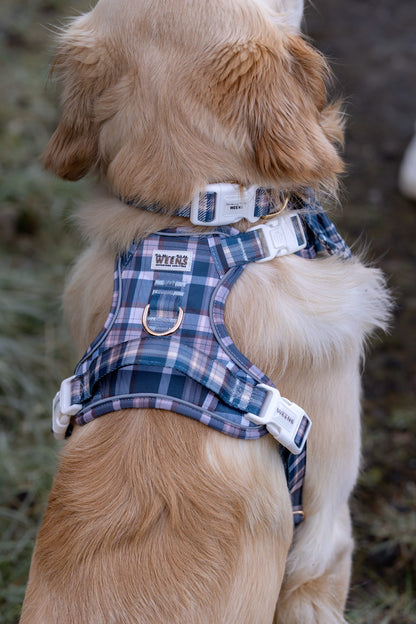 Frosted Flannel - Adventure Addition