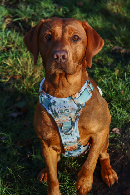 Pinewood Peaks - Adventure Addition