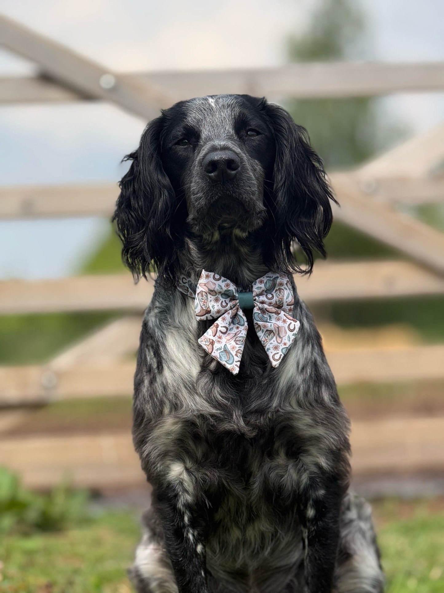 Cowboy Creek - Sailor Bow