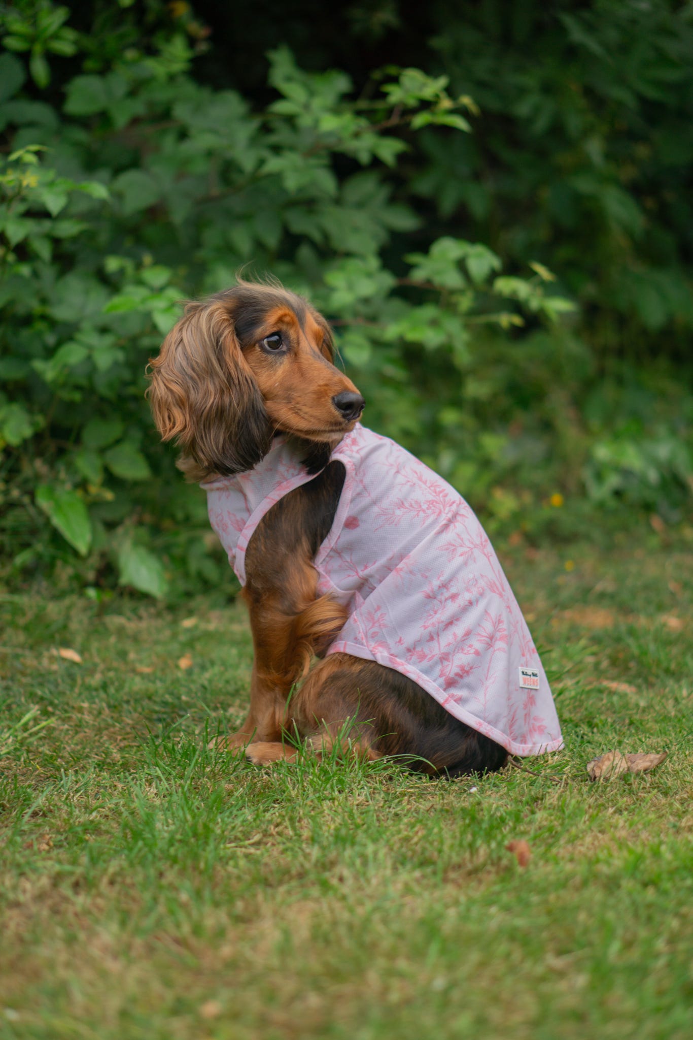 Magnolia Mist - Cooling Vest