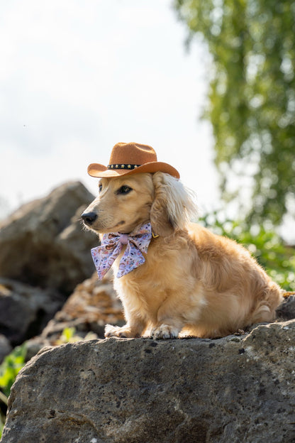 Western Wildflower - Sailor Bow