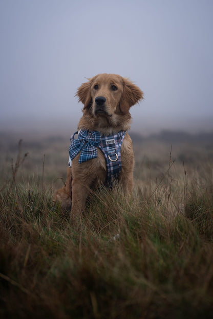 Frosted Flannel - Sailor Bow