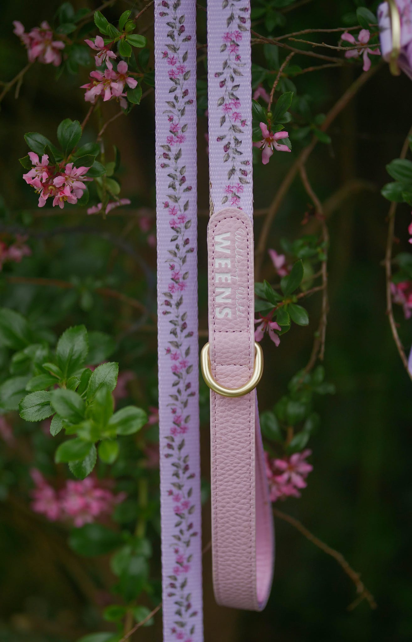 Blossom Bay - 4ft Lead