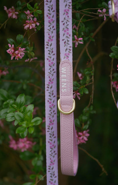 Blossom Bay - 4ft Lead