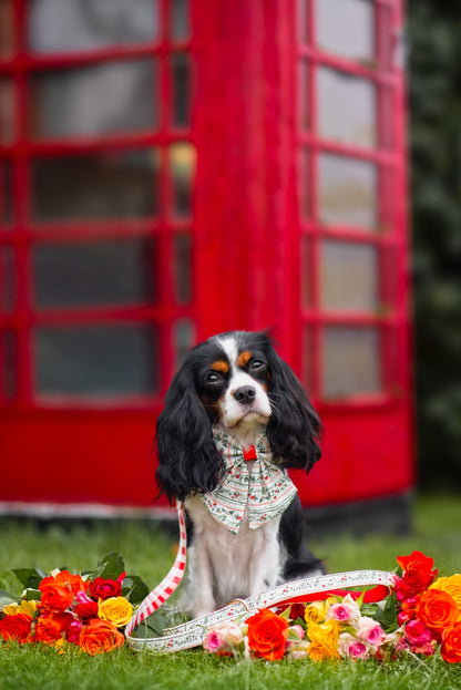 Berries and Bloom - Sailor Bow