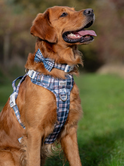 Frosted Flannel - Collar