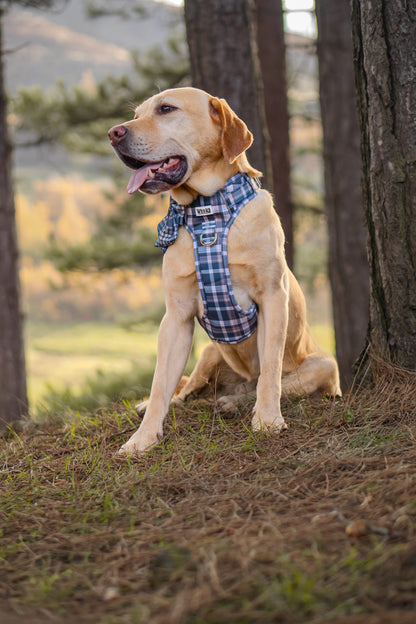 Frosted Flannel - Adventure Addition