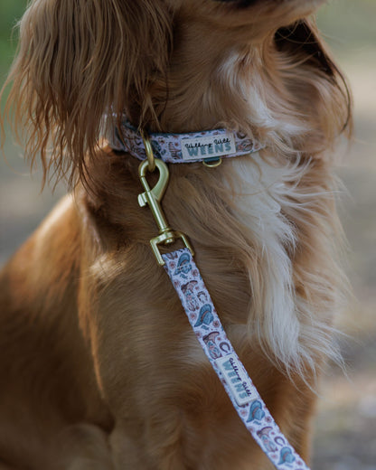 Cowboy Creek - Collar