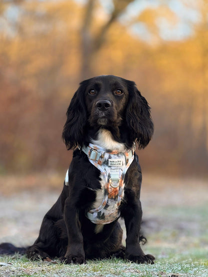 Pinewood Peaks - Adventure Addition