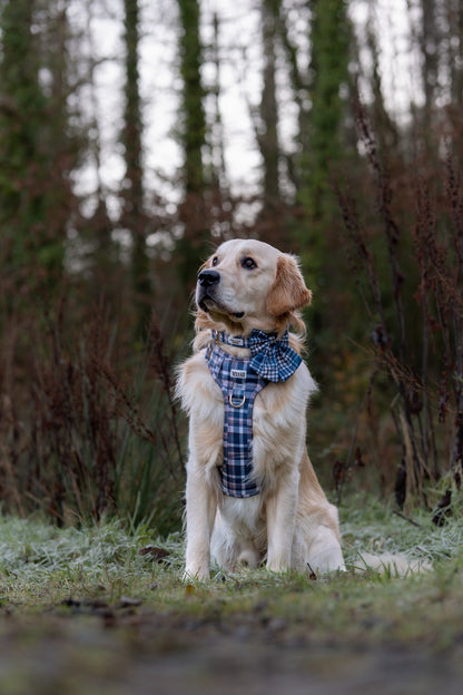 Frosted Flannel - Adventure Addition