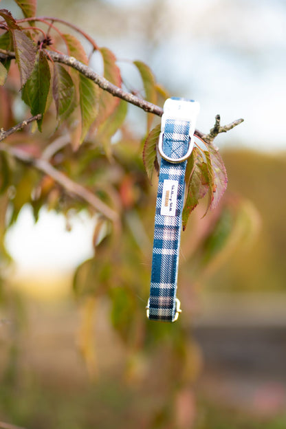 Frosted Flannel - Collar