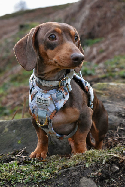 Pinewood Peaks - Adventure Addition