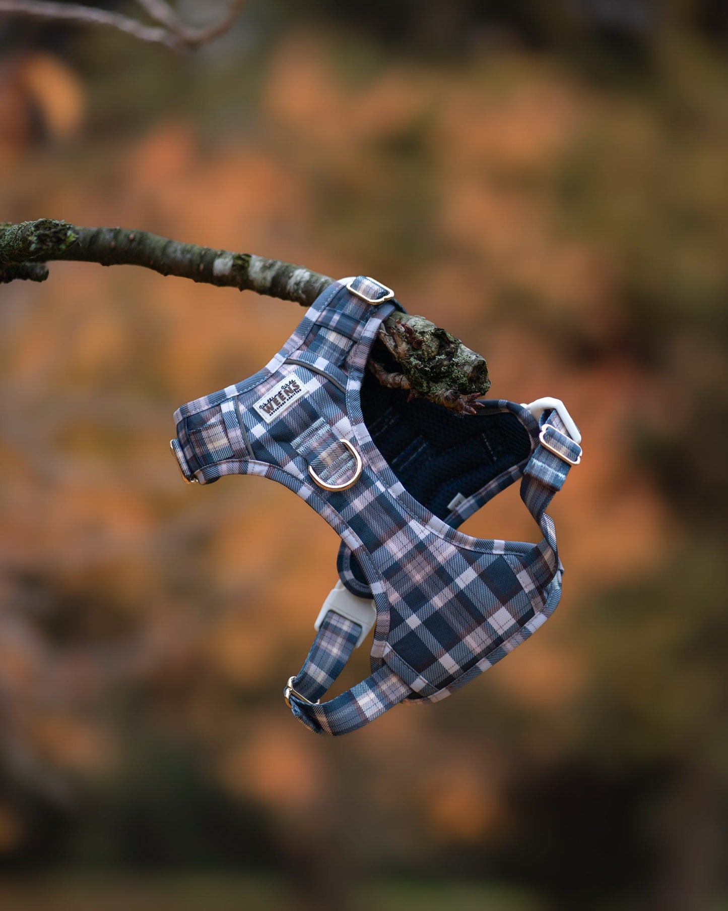 Frosted Flannel - Adventure Addition