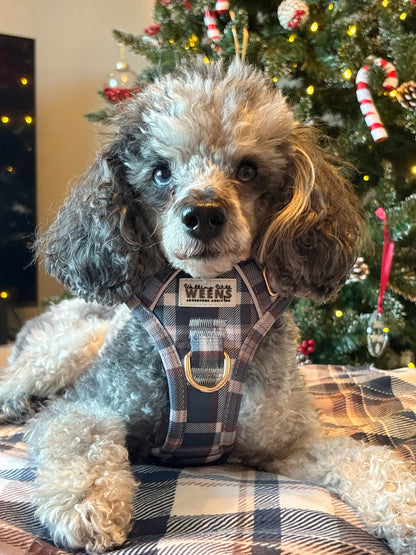 Frosted Flannel - Adventure Addition