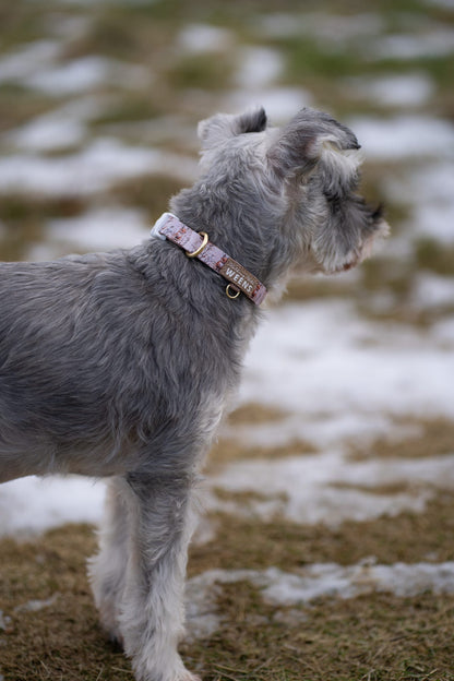 Fable Foxes - Collar