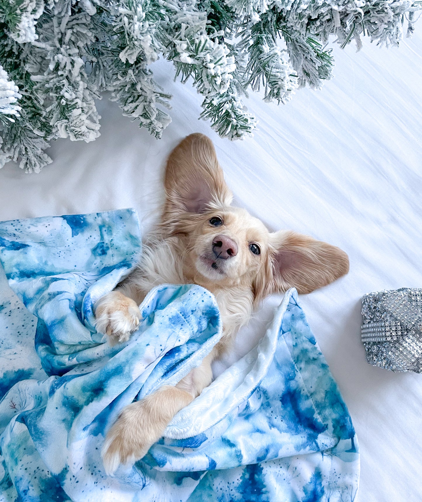 Winter Wonderland - Dog Blanket