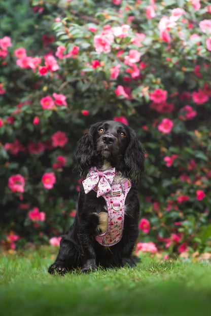 Rustic Roses - Air Addition