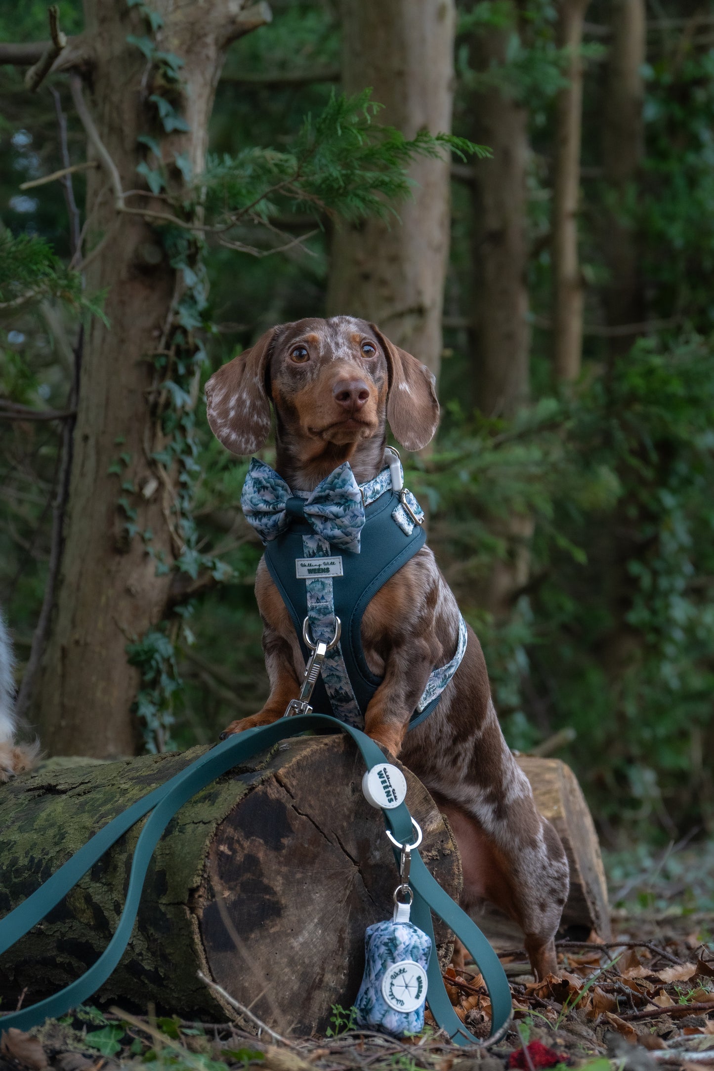 Alpine Green - Waterproof Lead