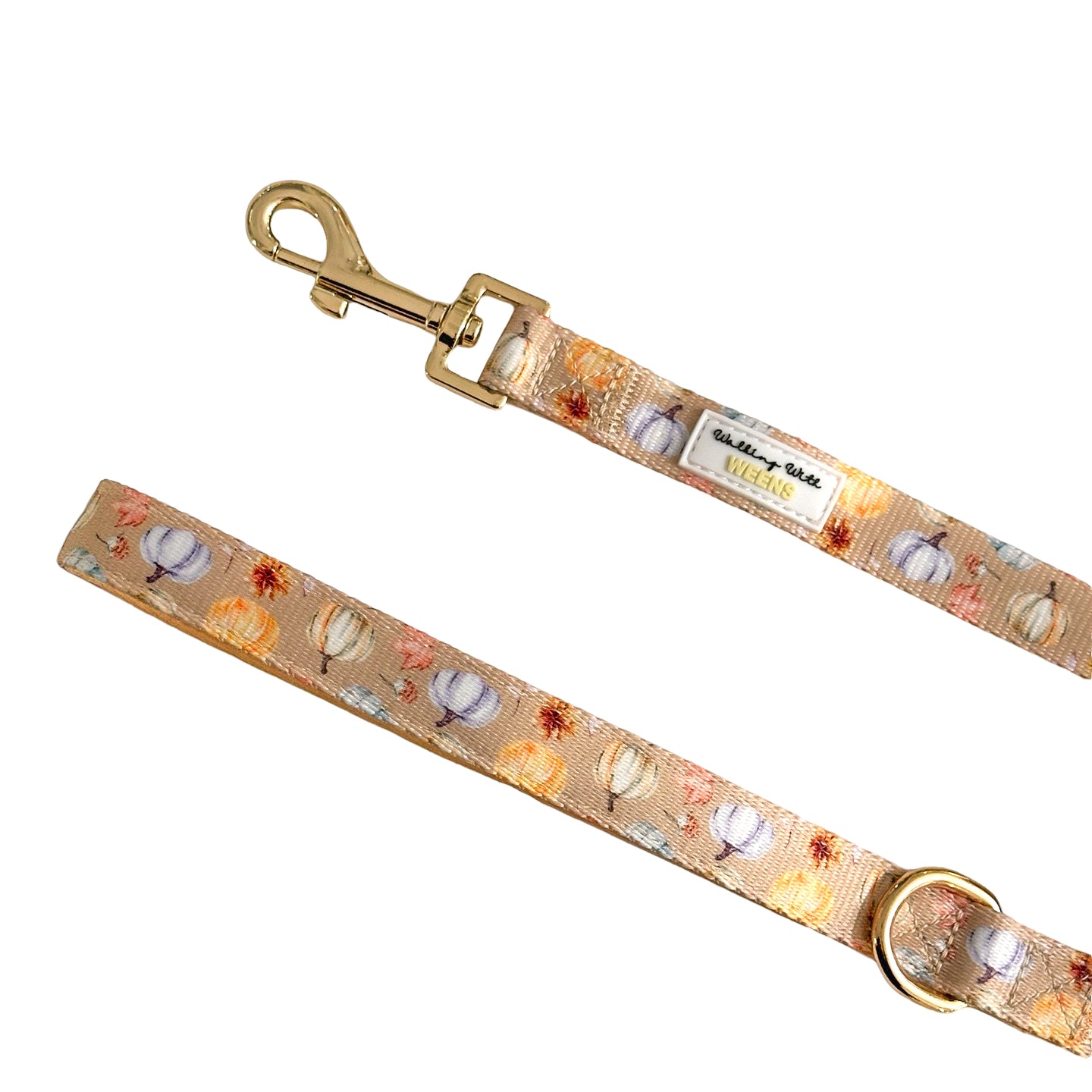 Harvest Hues - 4ft Lead