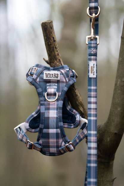 Frosted Flannel - Adventure Addition