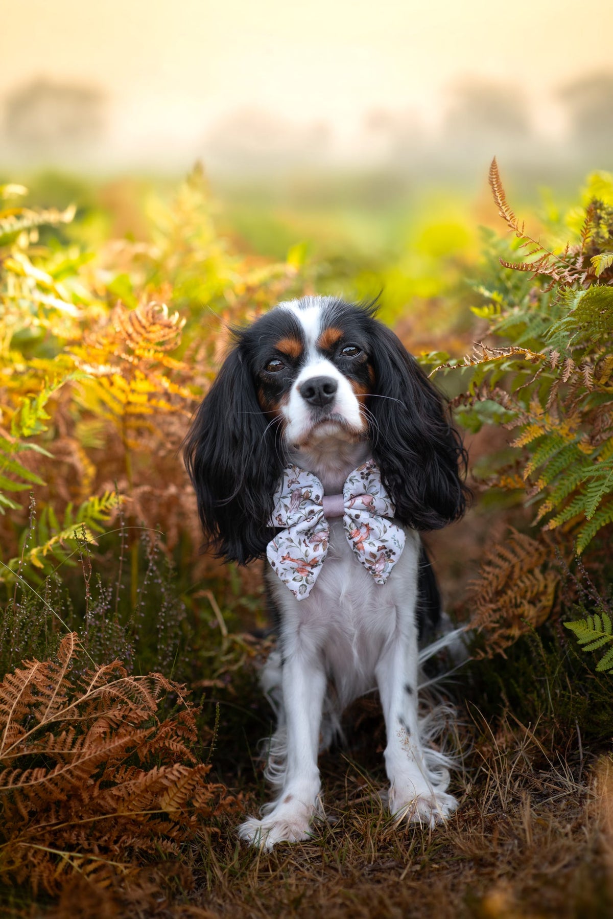 Bramble Burrows - Sailor Bow