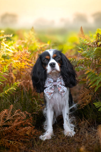 Bramble Burrows - Sailor Bow
