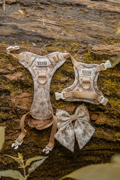 Sepia Shrooms - Adventure Addition