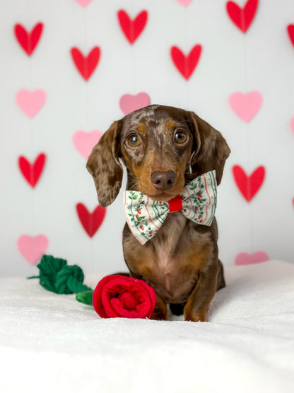 Berries and Bloom - Bow Tie