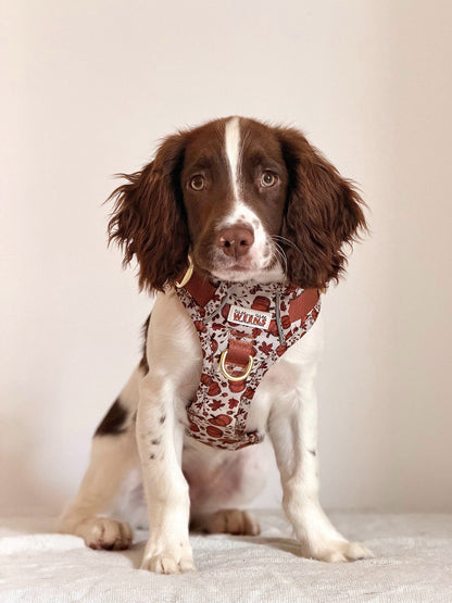 Autumn Nights - Adventure Addition