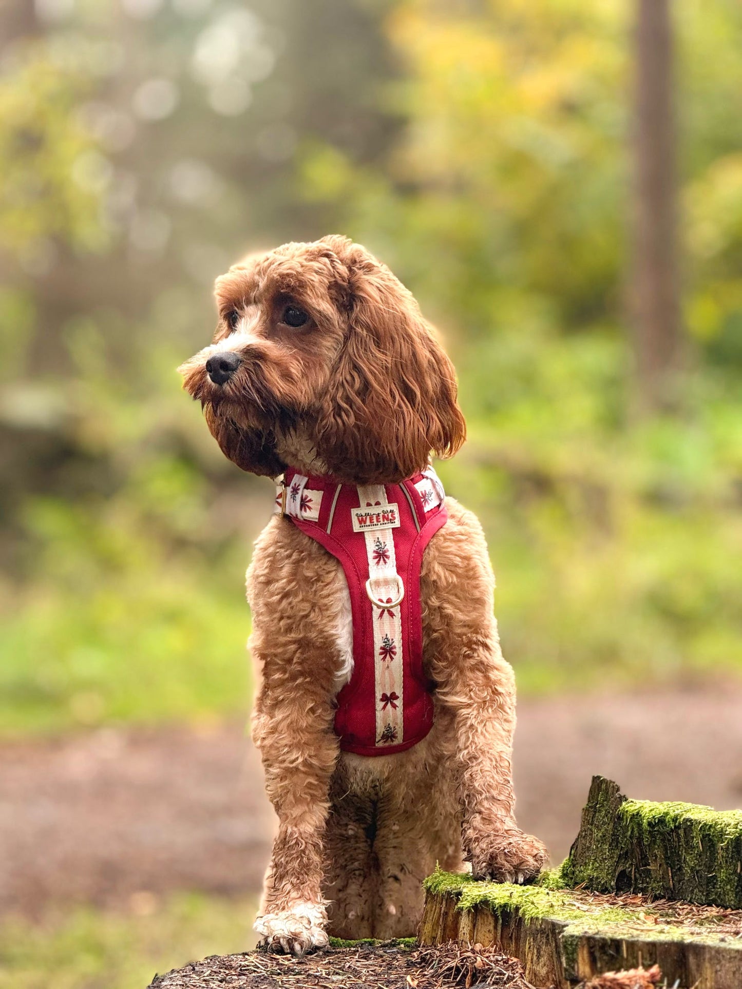 Classic Crimson - Adventure Addition