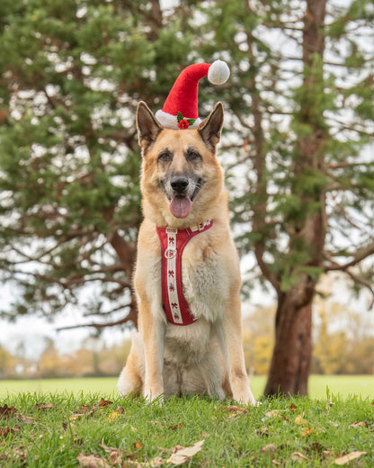 Classic Crimson - Adventure Addition