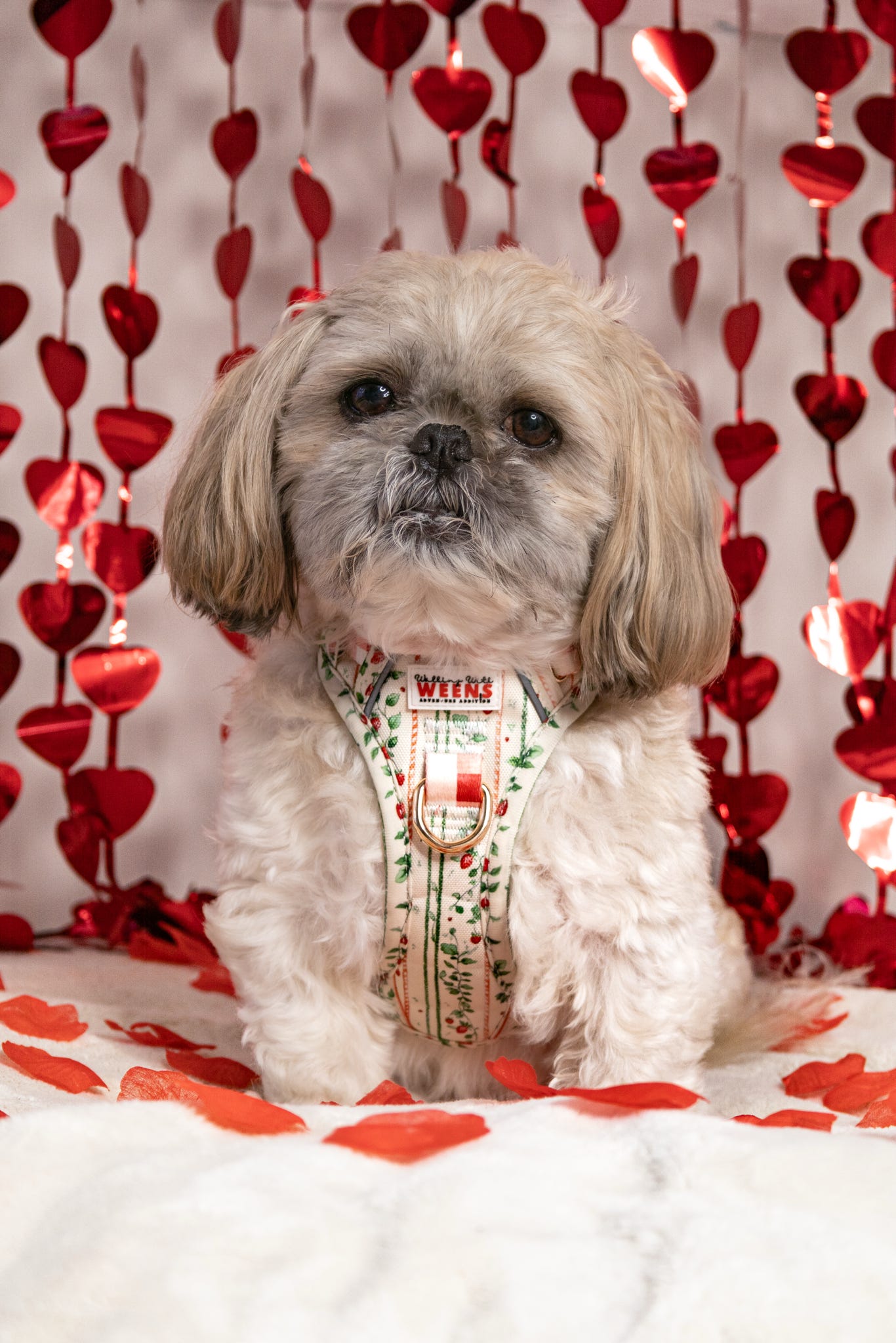 Berries and Bloom - Adventure Addition (See description)